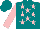 Silk - Teal, pink stars, pink sleeves