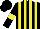 Silk - black, yellow stripes, black sleeves, yellow armlets, black cap
