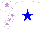 Silk - White, blue star, white sleeves, mauve stars, white cap, mauve star