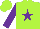 Silk - Lime, purple star, purple sleeves