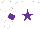 Silk - White, purple star, purple hoop on sleeves