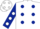 Silk - White, Dark Blue spots, Dark Blue sleeves, White spots