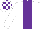 Silk - WHITE, purple panel, check cap