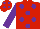 Silk - Red, Purple spots, sleeves and cap