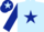 Silk - LIGHT BLUE, dark blue star & sleeves, dark blue cap, light blue star