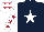 Silk - DARK BLUE, white star, white sleeves, maroon stars, white cap, maroon stars